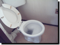 �n�E�X�N���[�j���O�P�����ł���Ɖ\�ł��B
